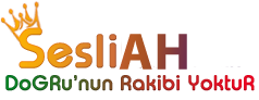 sesliAH.Com, SesliChat, SesliSohbet, SesliSiteler